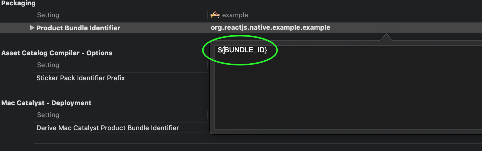 replace bundle id